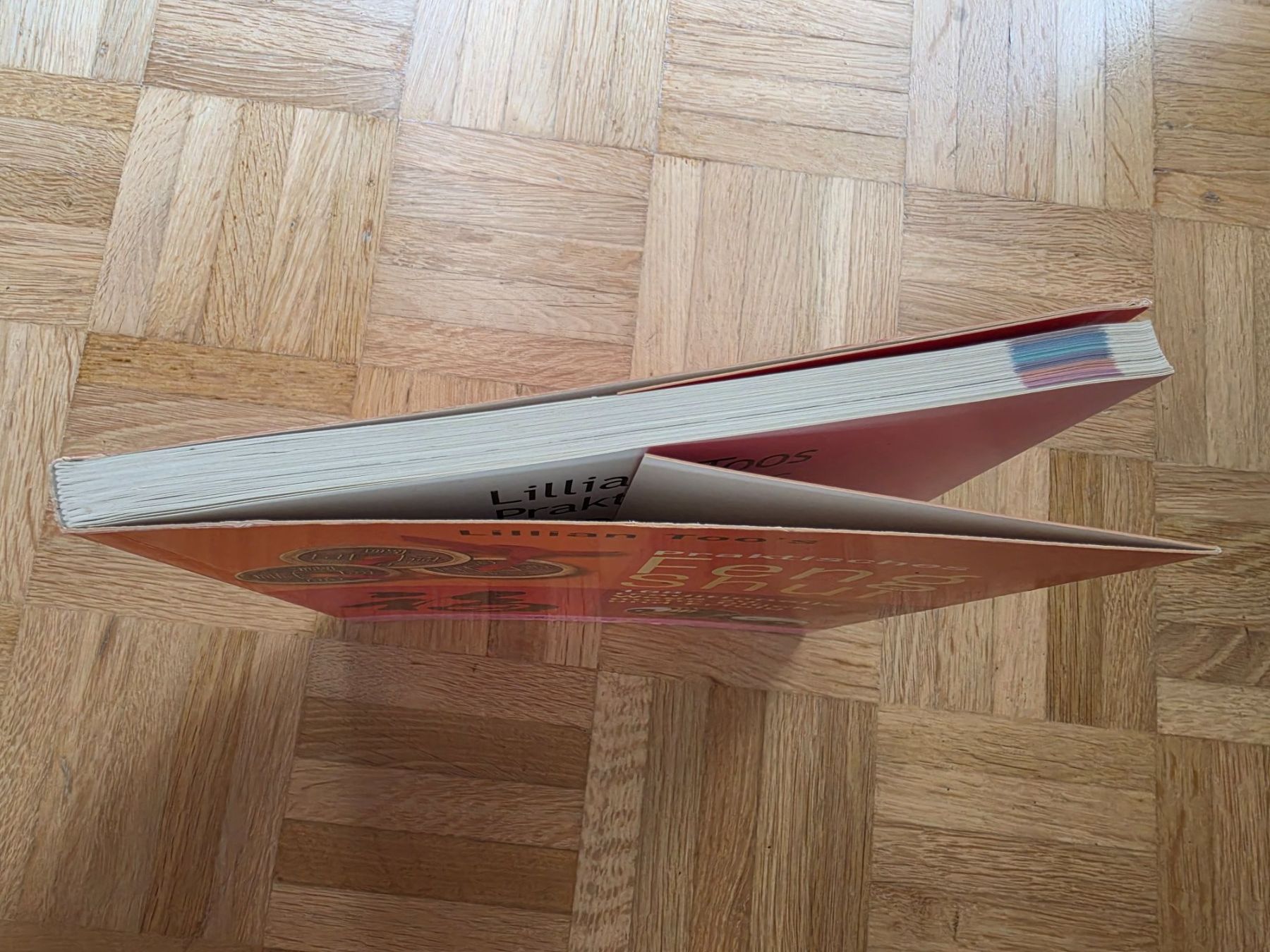 Libri: Praktisches Feng Shui – Usato da Stäfa venduto da flamingo_17 2