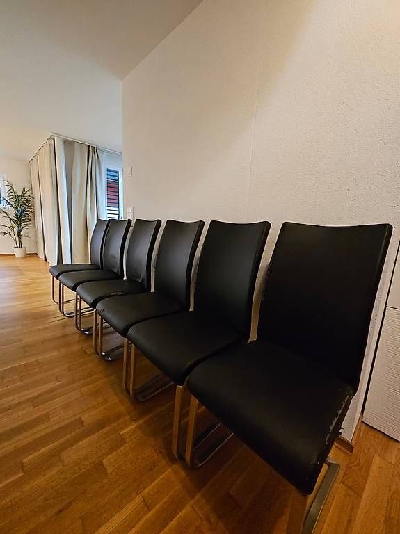 Stühle: Freischwinger Essstühle – Gebraucht aus Hochdorf von sol_5rdv
