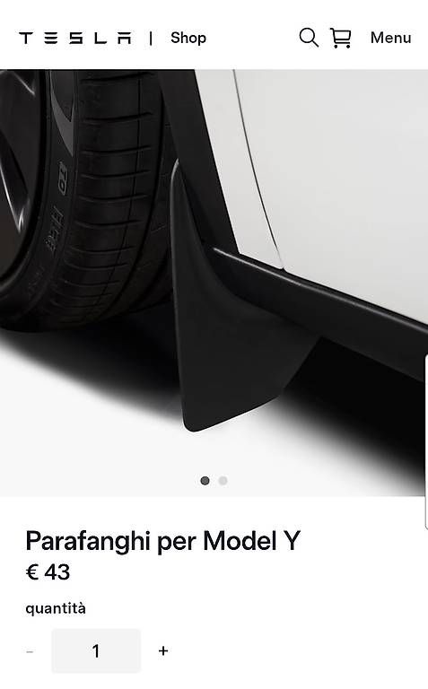 Tesla Tutti pezzi di ricambio auto: Parafanghi anteriori tesla model Y – Nuovo e nell'imballaggio originale da Bellinzona venduto da ang_c268