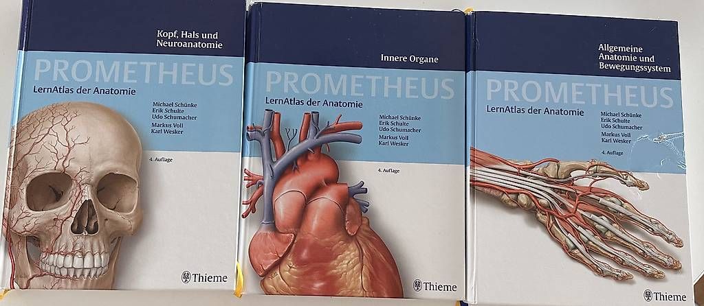 Libri: Prometheus LernAtlas der Anatomie – Usato da Basel venduto da Emfie