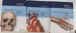 Prometheus LernAtlas der Anatomie