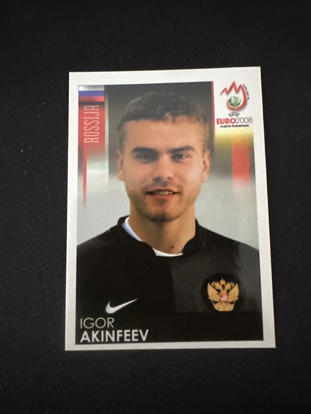 Panini Carte collezionabili: Panini UEFA EM 2008 Sticker - Nr. 442 – Usato da Sulz AG venduto da DealWerk