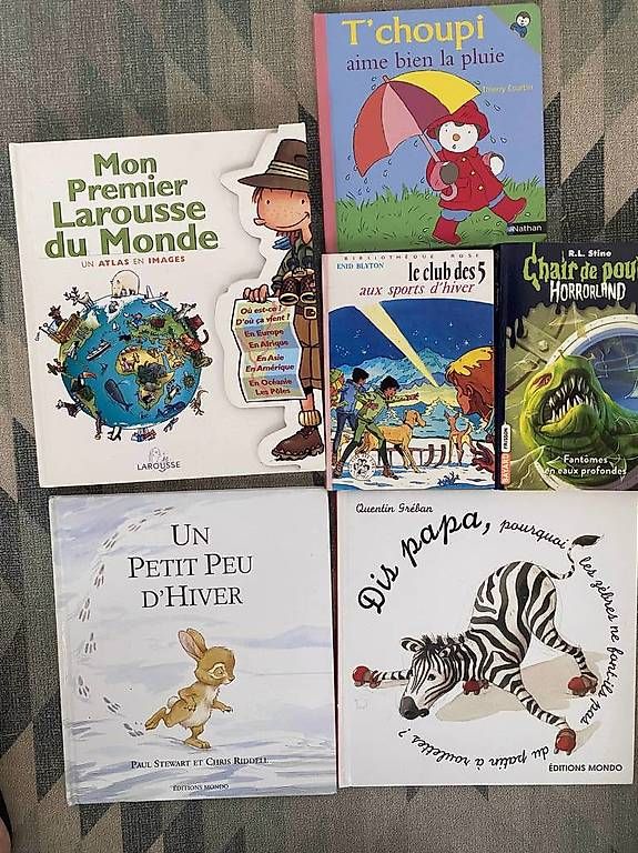 Libri: Livres enfants – Usato da Leytron venduto da nat_8fvq