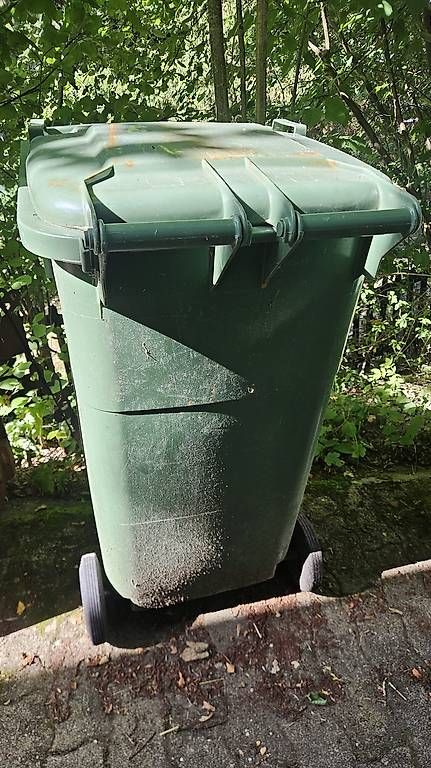 Autres: Grüncontainer – D'occasion à Bronschhofen par si.quero 1