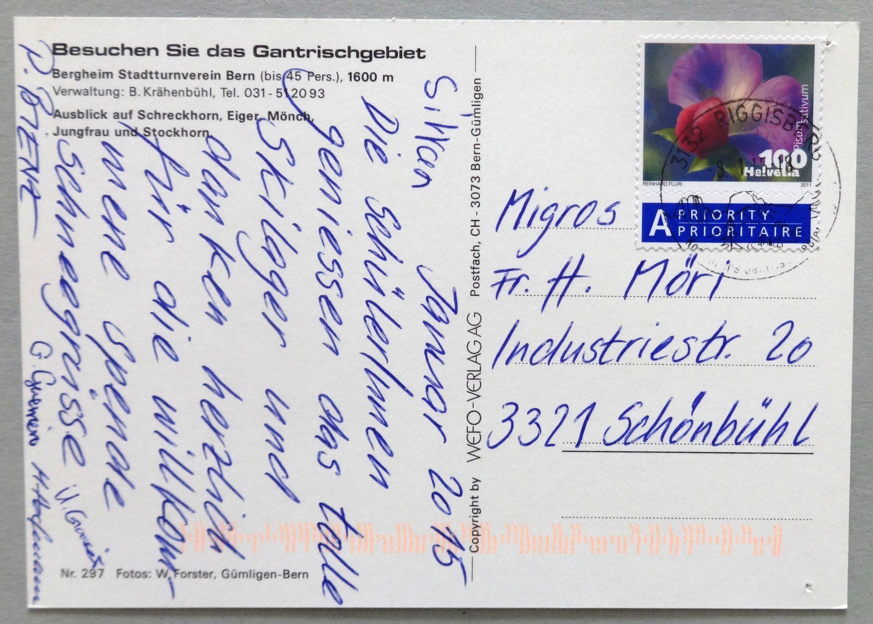 Cartoline postali: Bergheim Stadtturnverein Bern – Difettoso da Fétigny venduto da Billy2miny 1