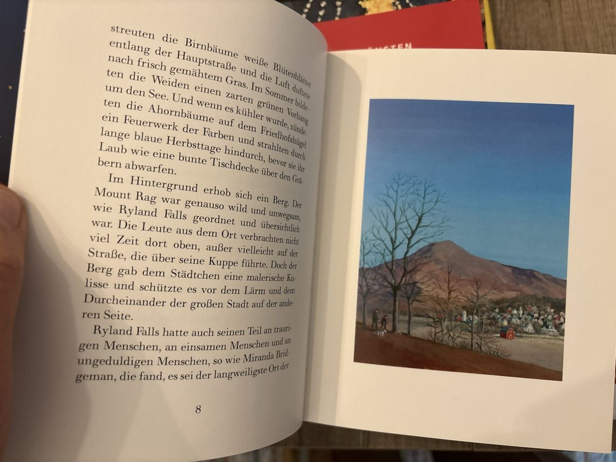 Bücher: Das wundersame Schneefeuer Buch gebunden – Neu (gemäss Beschreibung) aus Schaffhausen von Reporter 4