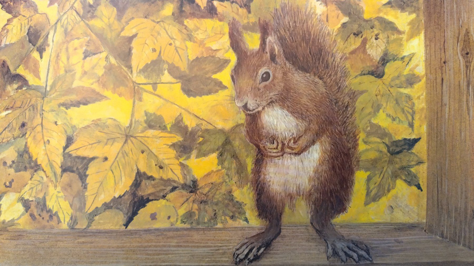 Livres: Peter Bergmann - Eichhörnchen auf Besuch / Bilderbuch – D'occasion à Bellach par JingleJerry 9