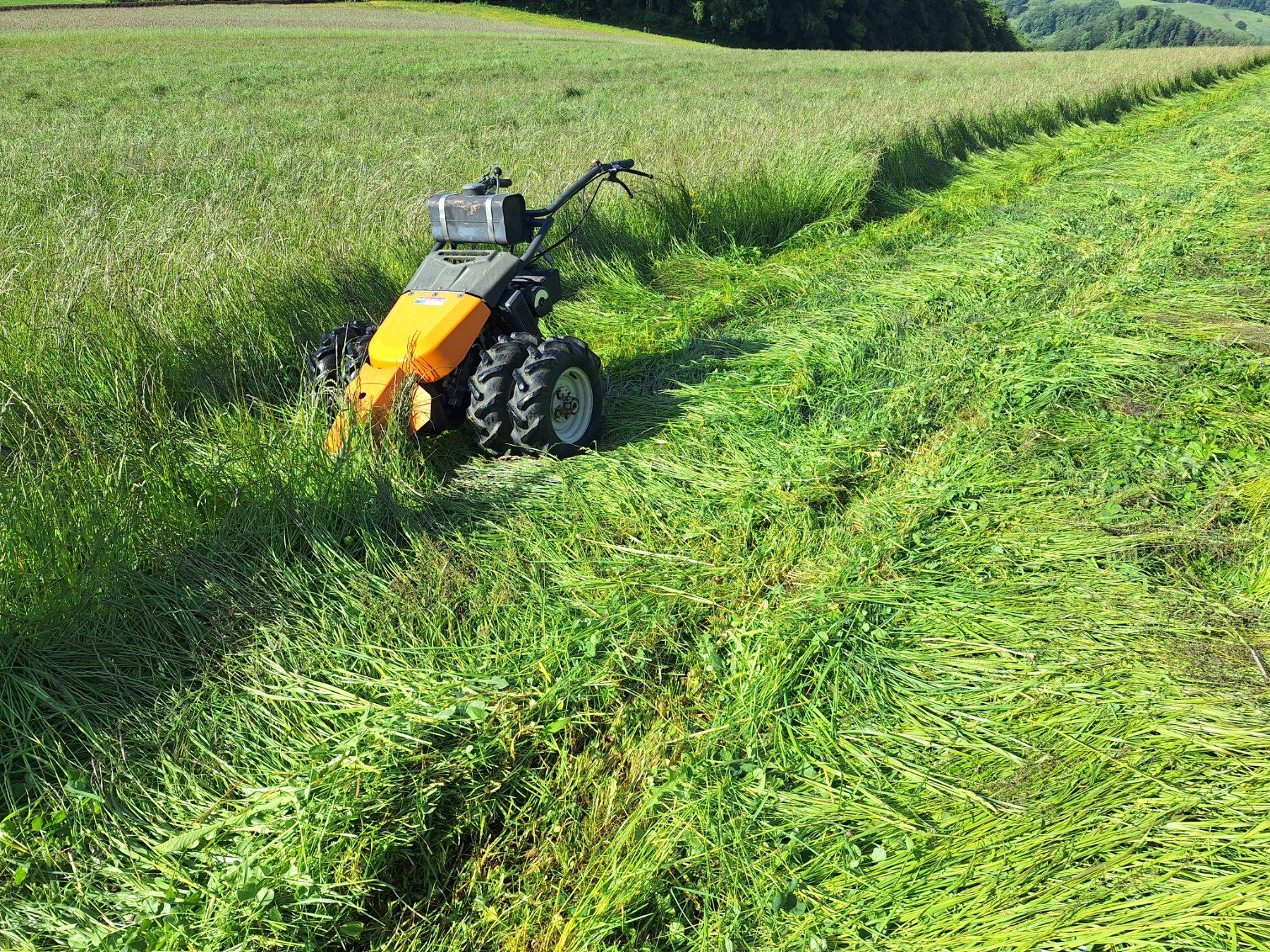 Bucher Tutte le macchine: Bucher Elite 9 Motormäher Bergmäher Hydrostat – Usato da Eptingen venduto da Bobbl1 3