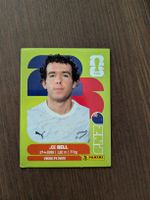 Panini Bild NZL 10