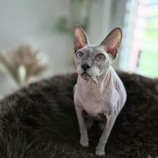 Profile image of Chanel.05