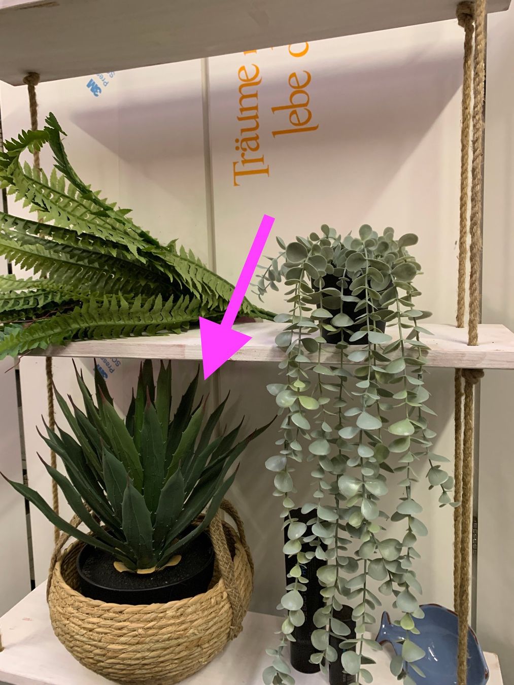 Piante & sementi: wunderschöne Agave im Topf 40cm / Kunstpflanze – Usato da St. Gallen venduto da Miousch 5