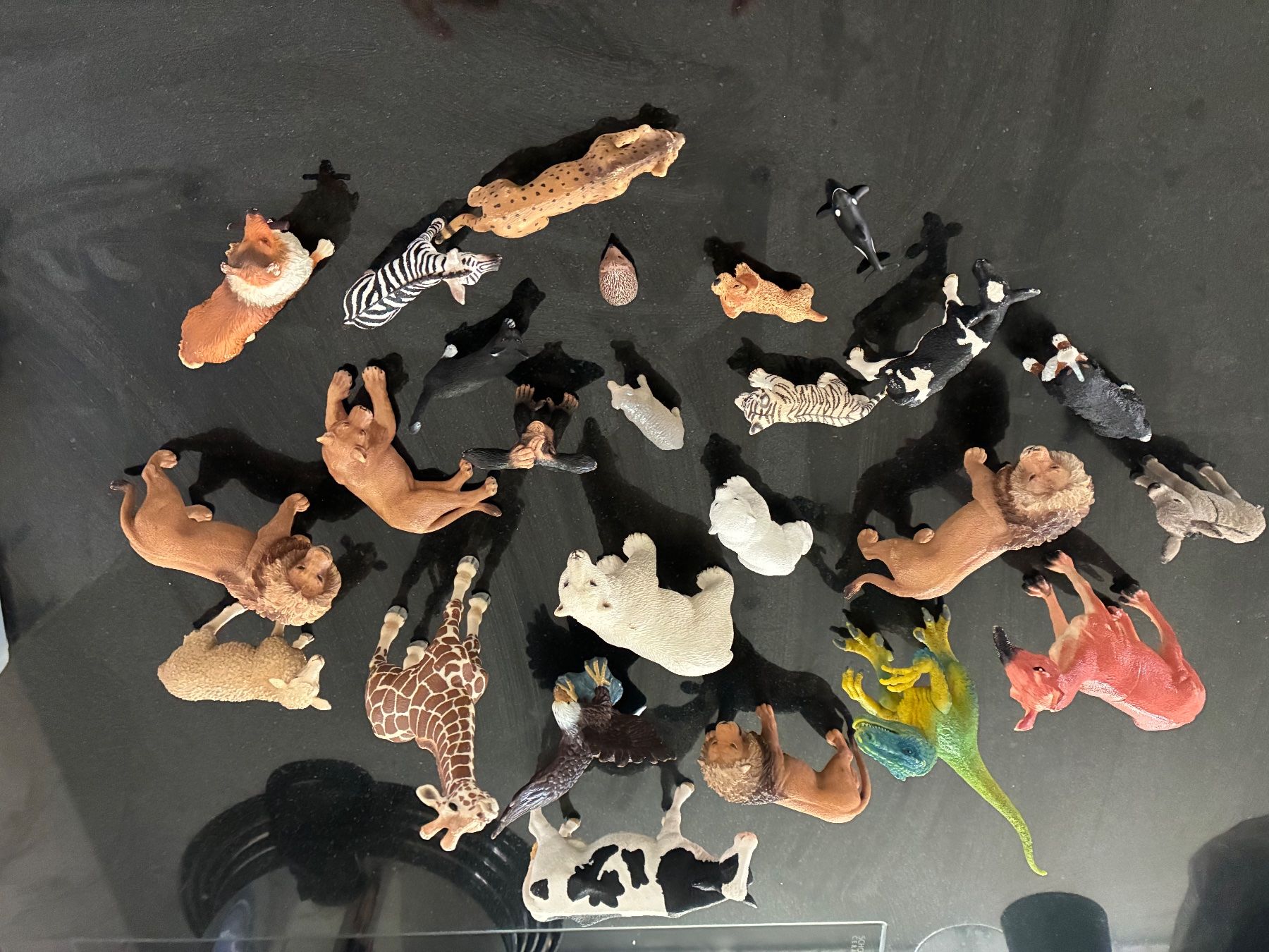 Schleich Giocattoli: Tierfiguren Sammlung, viele Schleichtiere – Usato da Obergösgen venduto da Diveda 1