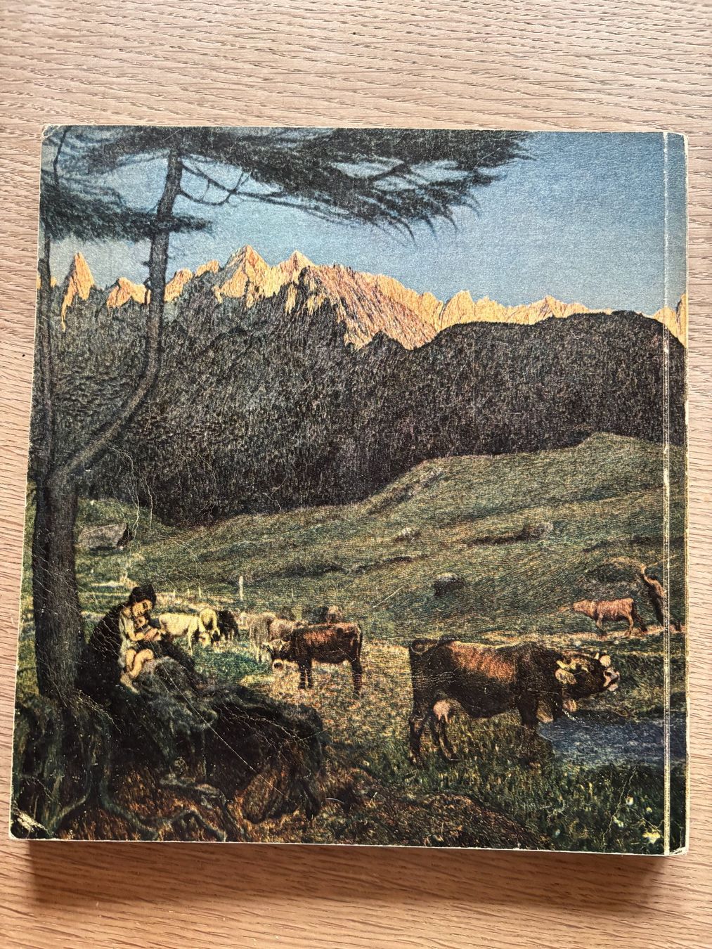 Libri: Visages de la Patrie – Usato da Urnäsch venduto da Vorrolli 2