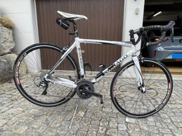 Colnago Rennrad