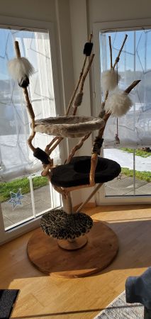 Naturkatzenbaum