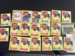 Paninibilder WM 2026 vollständig South Africa/RSA/Südafrika