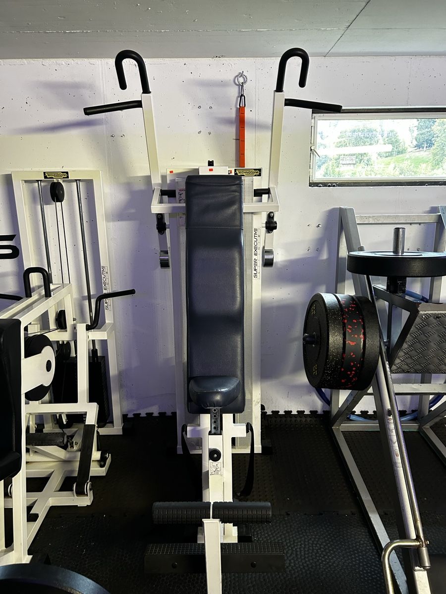Technogym Hometrainer: Technogym Vertical Traction Super Executive gut erhalten – Usato da Luthern venduto da Kuestenwolff