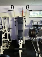 Technogym Vertical Traction Super Executive gut erhalten