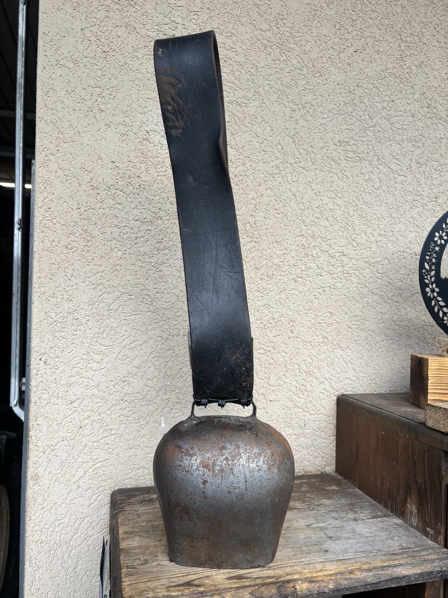 Campanacci mucche: Gotthardt NR 1 – Usato da Schangnau venduto da Roseggli82 8
