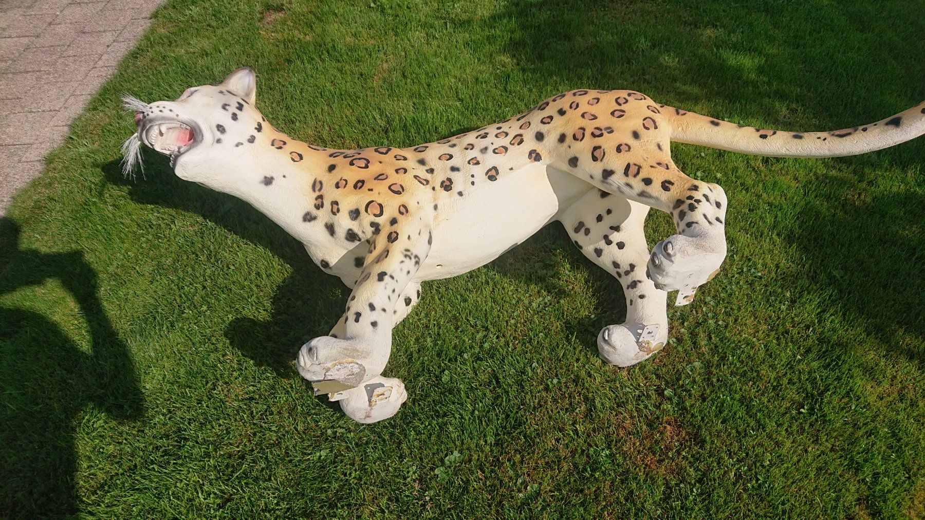Sculture & Statue: Leopard / Gepard Skulptur – Usato da Uznach venduto da bullrot313 2