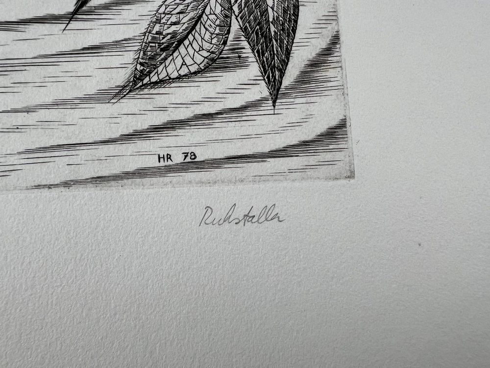 H.RUCKSTALLER ? RADIERUNG SIGNIERT NUMMERIERT 3