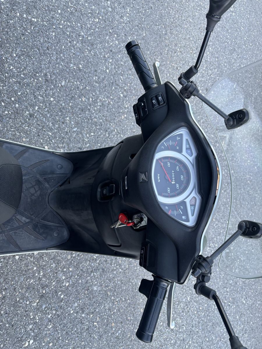 Honda Scooter: Roller Honda Lead 110 – Usato da Flumserberg Portel venduto da J.Mann 6