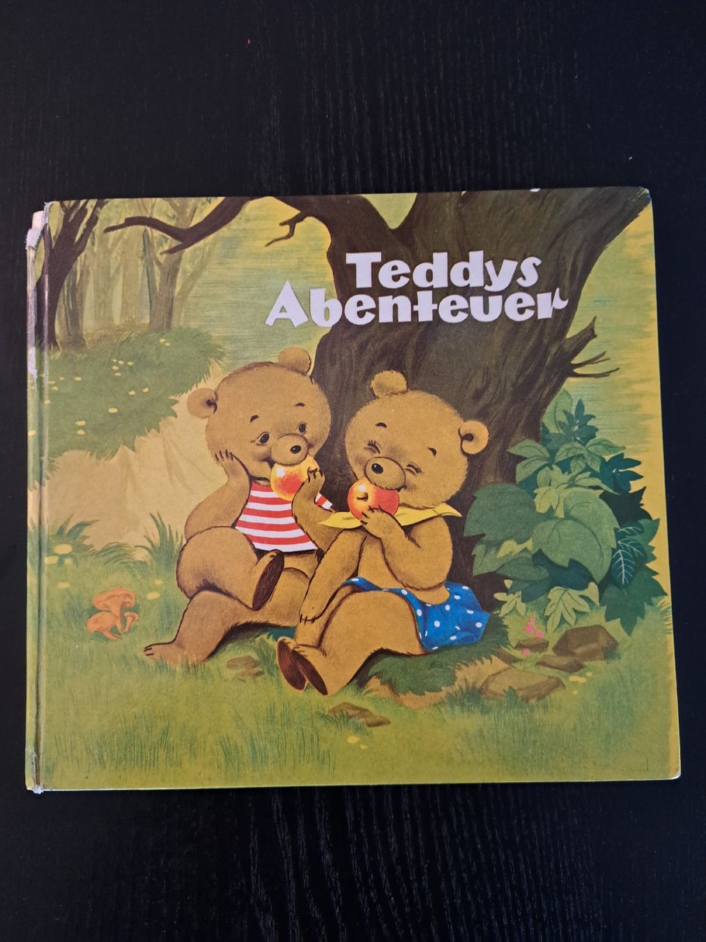 Libri: Bilderbuch • Teddys Abenteuer – Usato da Ottenbach venduto da Rasenmaeeher