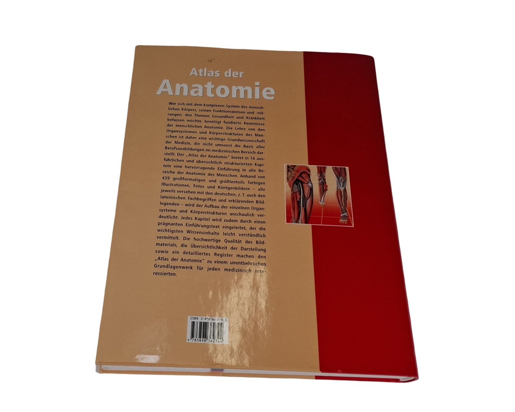 Libri: KOMET Atlas der Anatomie – Usato da Wil SG venduto da Restwert_Wil 1