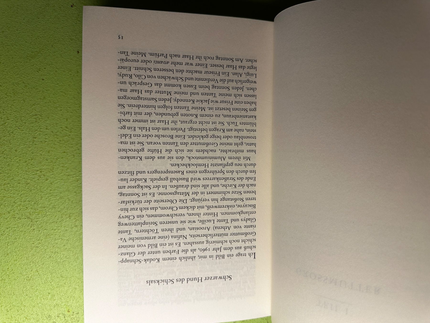 Libri: Peter Balakian: Die Hunde vom Ararat. – Usato da Zürich venduto da allp 6