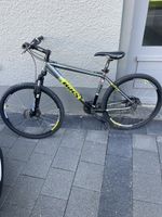Bixs Mountainbike