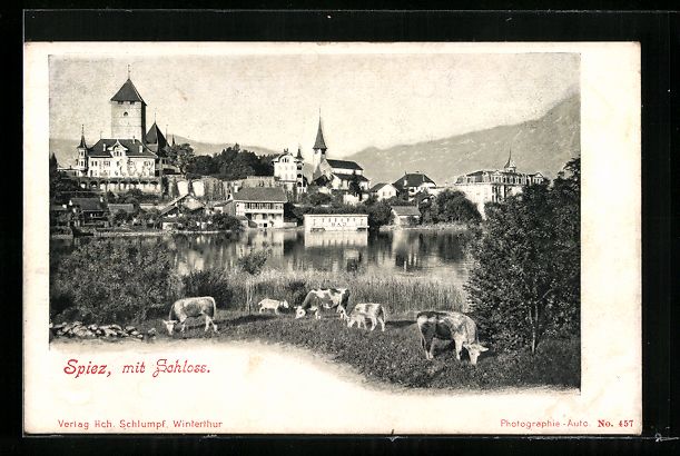 Cartoline postali: AK Spiez, Ortsansicht mit Schloss – Usato da Berlin venduto da bartko-reher