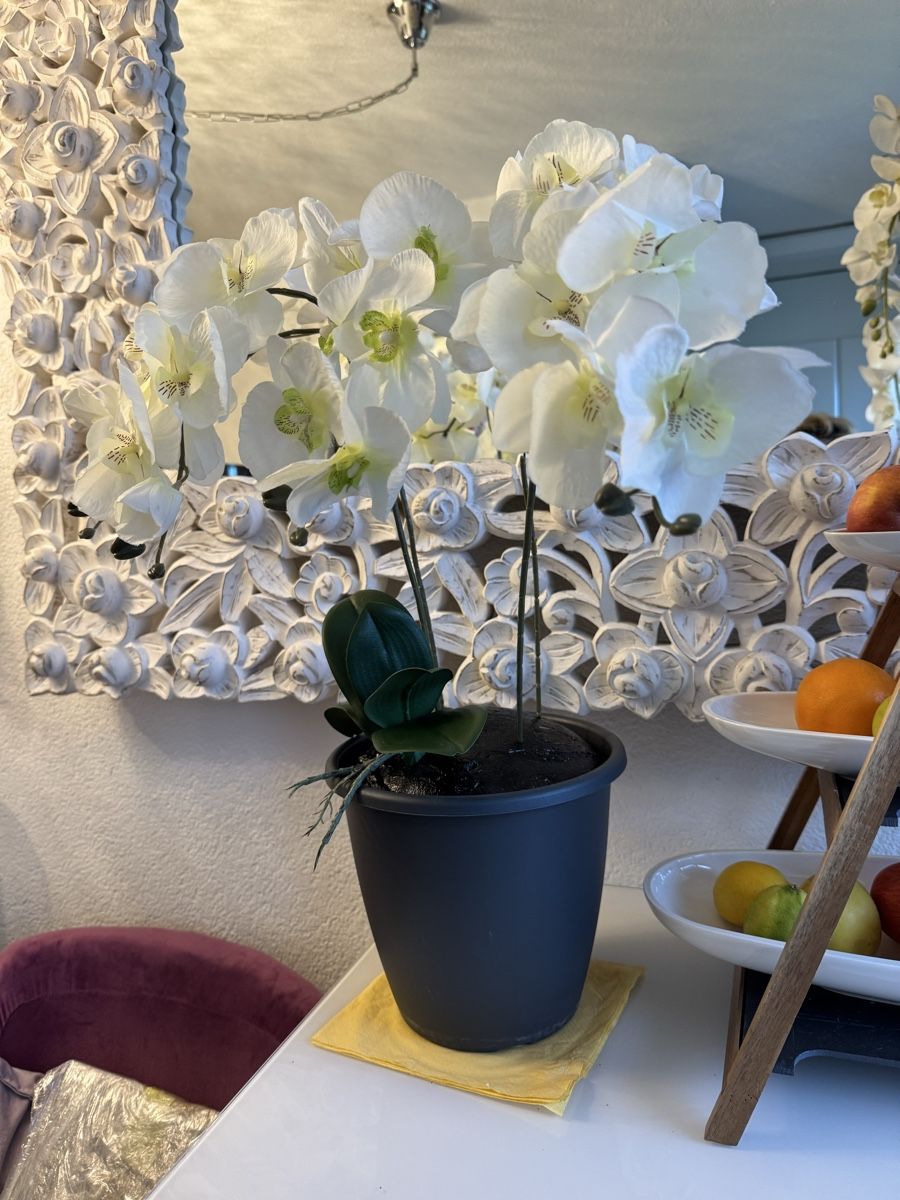 Alle Dekorationen: Künstliche Orchideen weis, New – Neu (gemäss Beschreibung) aus Zürich von Privat4444 3