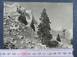 AUFSTIEG ZUR RUCJHUBELHÜTTE RIGDALSTÖCKE 1963 AK ONW