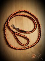 Paracord Hundeleine