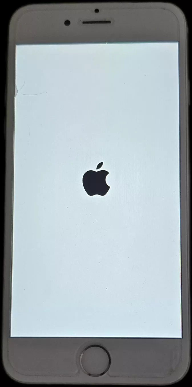 Apple Telefoni cellulari / Smartphones: IPhone 6 – Usato da Mühleberg venduto da Alzibe 1