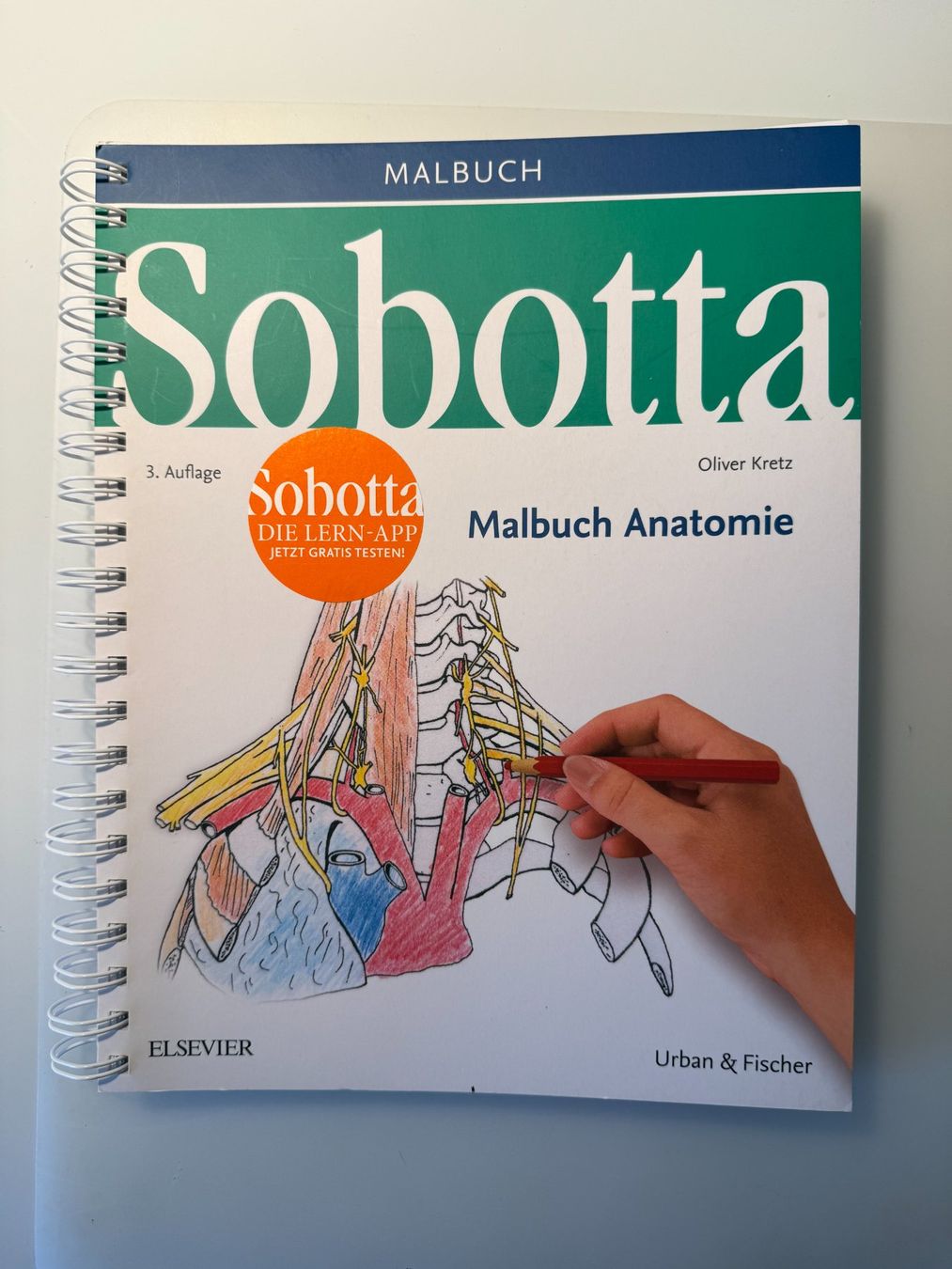 Libri: Lehrbuch Anatomie von Sobotta als Malbuch mit Lerntexten – Usato da Luzern venduto da PALAJ