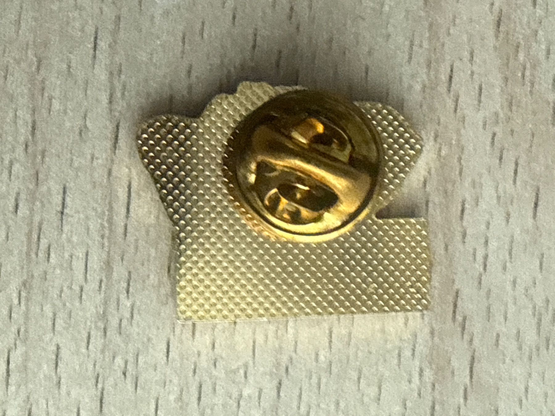 Placchette & Badge: Pin Walder Schuhe – Usato da Glattbrugg venduto da Schweigmatt 1