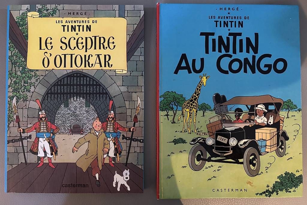 BD: Lot de 2 BD – D'occasion à Riaz par economie_circulaire