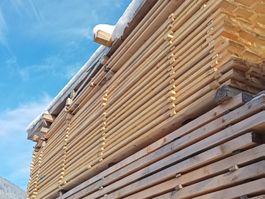 Bretter 3x11cm 4.40m CH-Holz