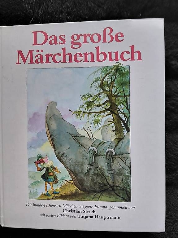 Libri: Das grosse Märchenbuch – Usato da Zollikerberg venduto da Inhal
