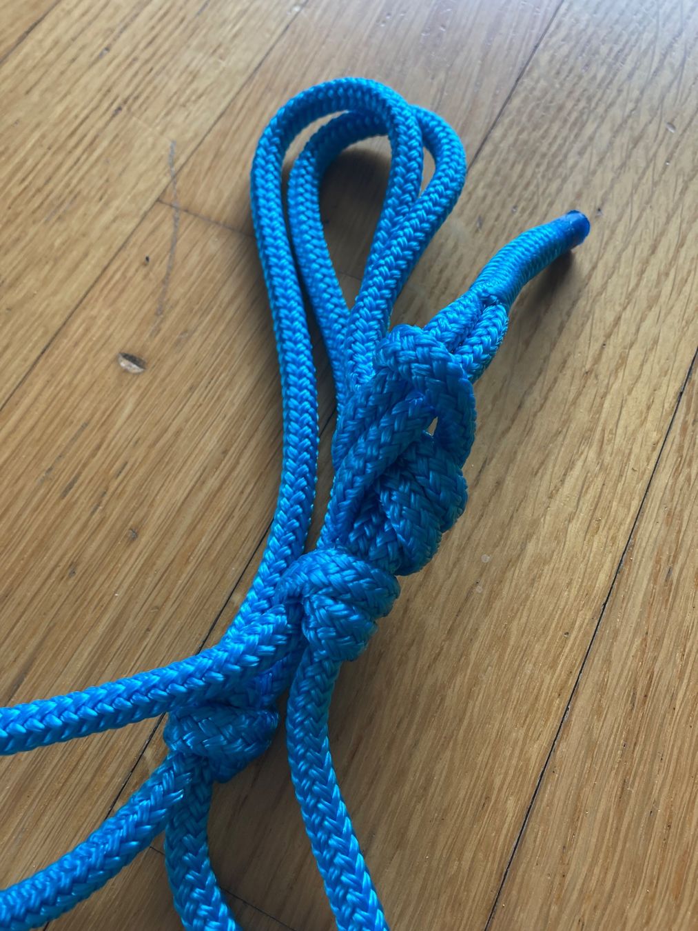 Briglie & Cavezze: Knotenhalfter XS (Shetti) Skyblue – Nuovo (secondo la descrizione) da Buchs SG venduto da bri_m6mn 2