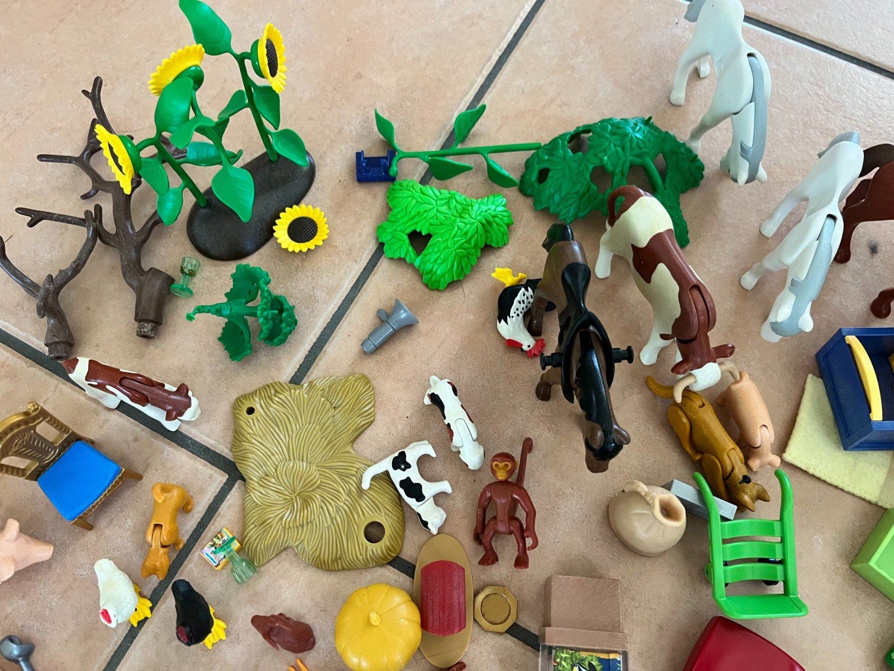 Giocattoli: Playmobil – Usato da Aristau venduto da Alkymia 2