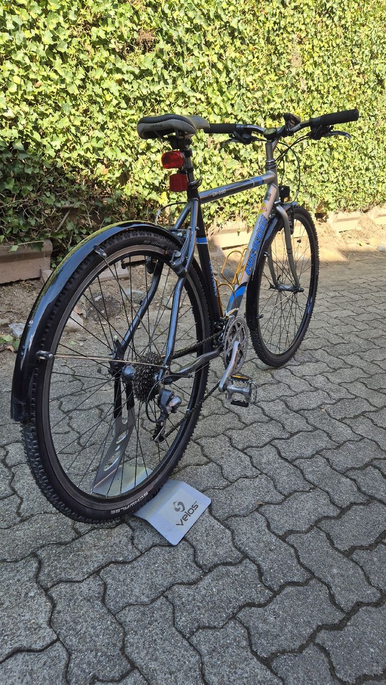 Velos: Velo ab Service – Gebraucht aus Oberhasli von Velo_Susak 9