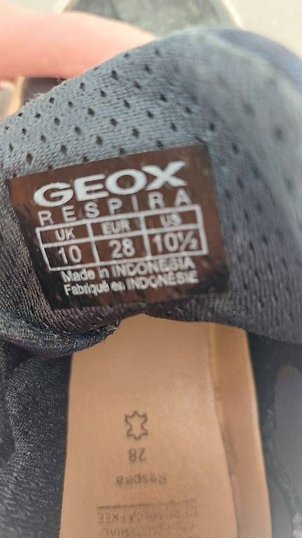 Scarpe per ragazzi: Geox Sneaker 28 – Usato da Richterswil venduto da nimgruet 1