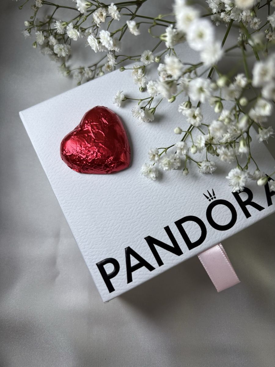 Portagioie: PANDORA Papietrtasche und Box – Nuovo (secondo la descrizione) da Kloten venduto da Mod_qc5v 3