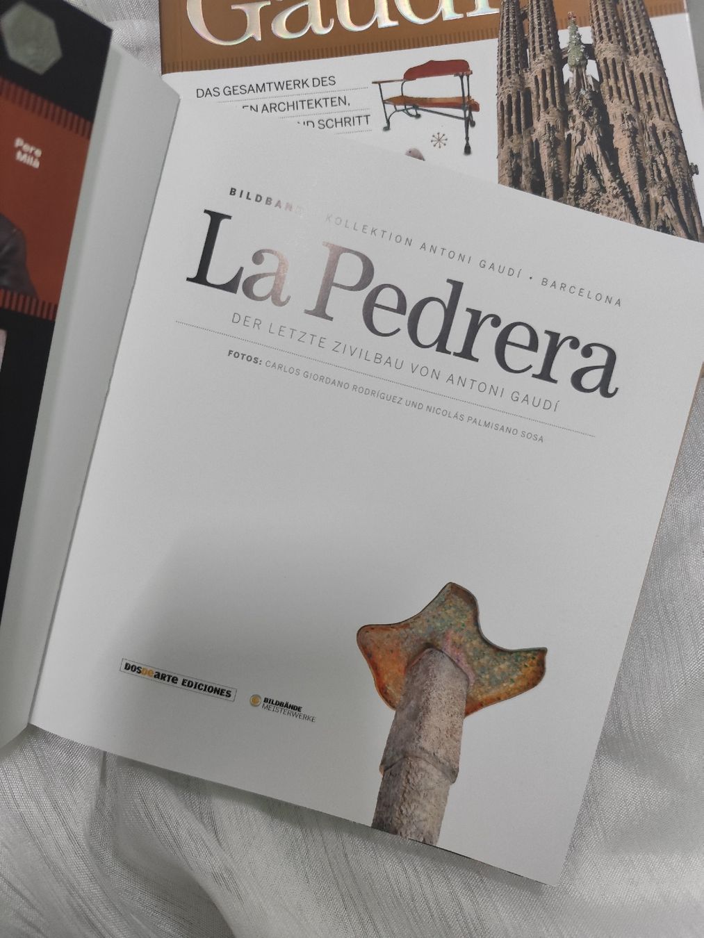 Libri: Antoni Gaudi Art Books – Usato da Mägenwil venduto da VintageGirly 4