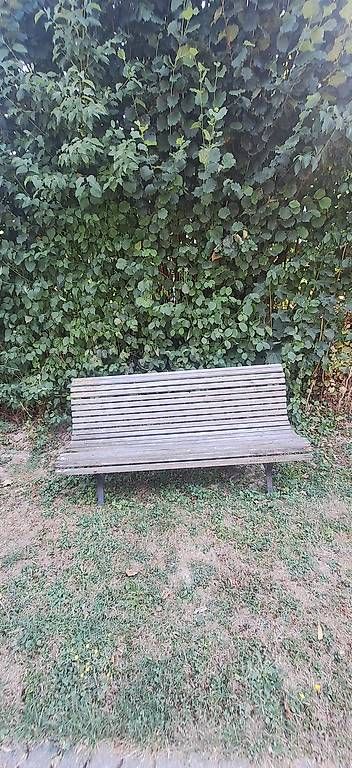 Bänke: Gartenbank – Gebraucht aus Madiswil von Oleander2