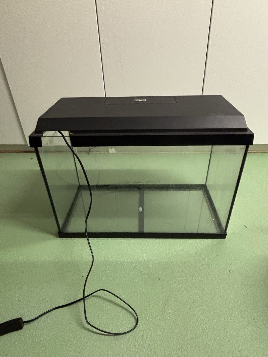 Aquarium: Gratis Aquarium 60x30x40cm – D'occasion à Hettlingen par tim_h26c