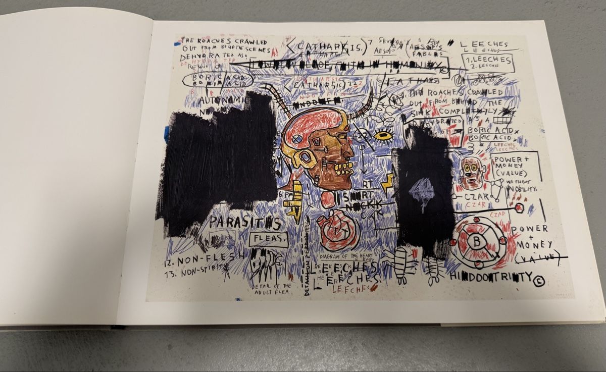 Livres: Basquiat, Jean Michel – Neuf (Voir description) à Dielsdorf par BGiezendanner 4