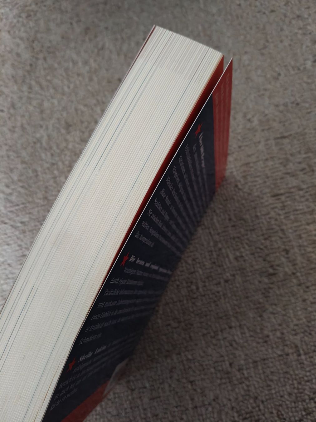 Libri: USA Kochbuch Sheila Lukins – Nuovo (secondo la descrizione) da Uetendorf venduto da oinkioink88 7